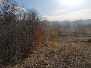 Teren 1800 mp intravilan, Bistrița, zona Gloduri