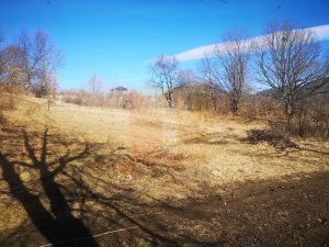 Teren 1800 mp intravilan, Bistrița, zona Gloduri