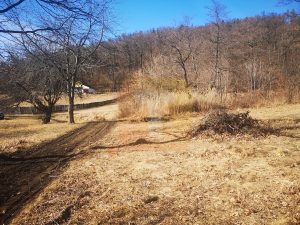 Teren 1800 mp intravilan, Bistrița, zona Gloduri