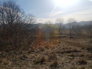 Teren 1800 mp intravilan, Bistrița, zona Gloduri