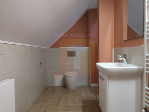 Spatiu comercial 600 mp, Piatra Neamț