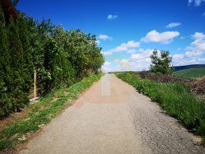 Teren intravilan 650 mp-Piatra Neamț