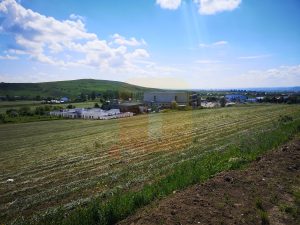 Teren intravilan 650 mp-Piatra Neamț
