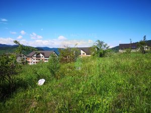 Teren intravilan 650 mp-Piatra Neamț