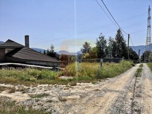 Vilă la ”roșu”, teren 800 mp, zona Gloduri, comuna Alexandru cel Bun