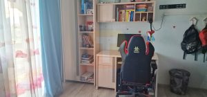 Vila de Vânzare în Piatra Neamț, Zona Ciritei