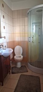 Vila de Vânzare în Piatra Neamț, Zona Ciritei