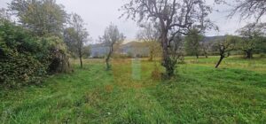 Teren intravilan de vânzare – 1.350 mp – Comuna Alexandru cel Bun