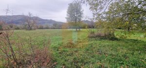 Teren intravilan de vânzare – 1.350 mp – Comuna Alexandru cel Bun
