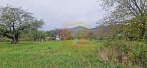 Teren intravilan de vânzare – 1.350 mp – Comuna Alexandru cel Bun