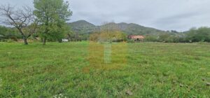 Teren intravilan de vânzare – 1.350 mp – Comuna Alexandru cel Bun