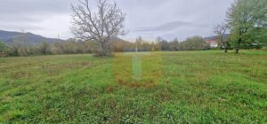 Teren intravilan de vânzare – 1.350 mp – Comuna Alexandru cel Bun