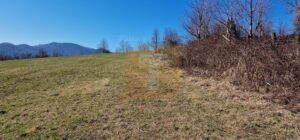 Teren intravilan de 4.000 mp în Bistrița – Alexandru cel Bun