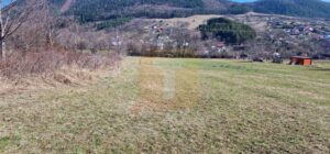 Teren intravilan de 4.000 mp în Bistrița – Alexandru cel Bun