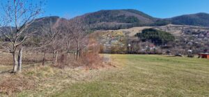 Teren intravilan de 4.000 mp în Bistrița – Alexandru cel Bun