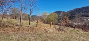 Teren intravilan de 4.000 mp în Bistrița – Alexandru cel Bun