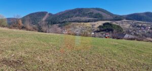 Teren intravilan de 4.000 mp în Bistrița – Alexandru cel Bun