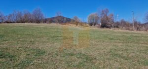 Teren intravilan de 4.000 mp în Bistrița – Alexandru cel Bun