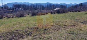 Teren intravilan de 4.000 mp în Bistrița – Alexandru cel Bun