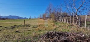 Teren intravilan de 4.000 mp în Bistrița – Alexandru cel Bun