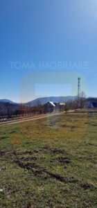 Teren intravilan de 4.000 mp în Bistrița – Alexandru cel Bun
