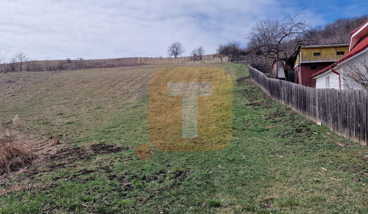 Teren intravilan de vânzare , 3600 mp – Gârcina, zona Balaur