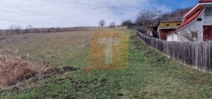 Teren intravilan de vânzare , 3600 mp – Gârcina, zona Balaur