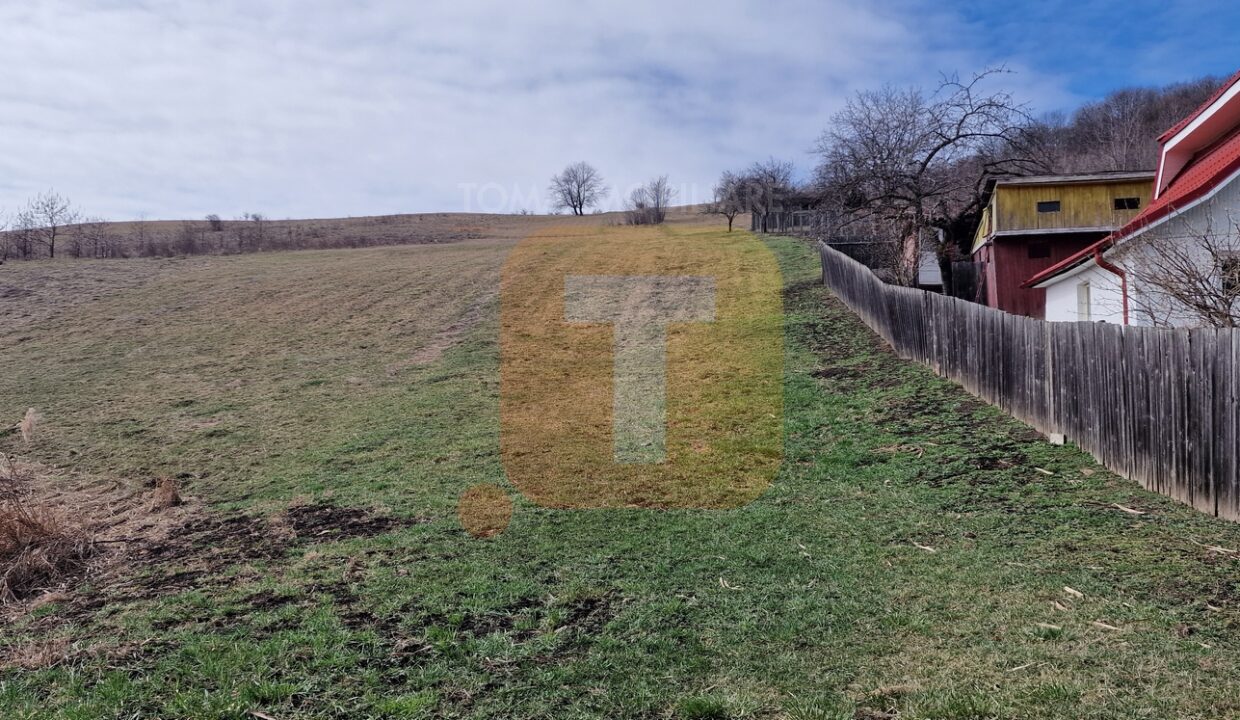 Teren intravilan de vânzare , 3600 mp – Gârcina, zona Balaur