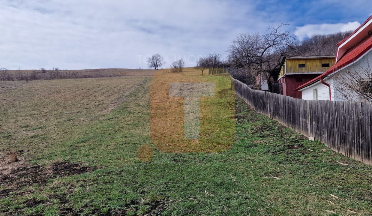 Teren intravilan de vânzare , 3600 mp – Gârcina, zona Balaur