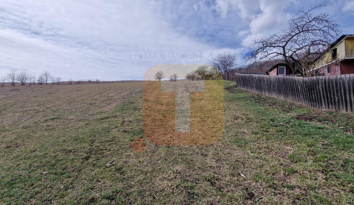 Teren intravilan de vânzare , 3600 mp – Gârcina, zona Balaur