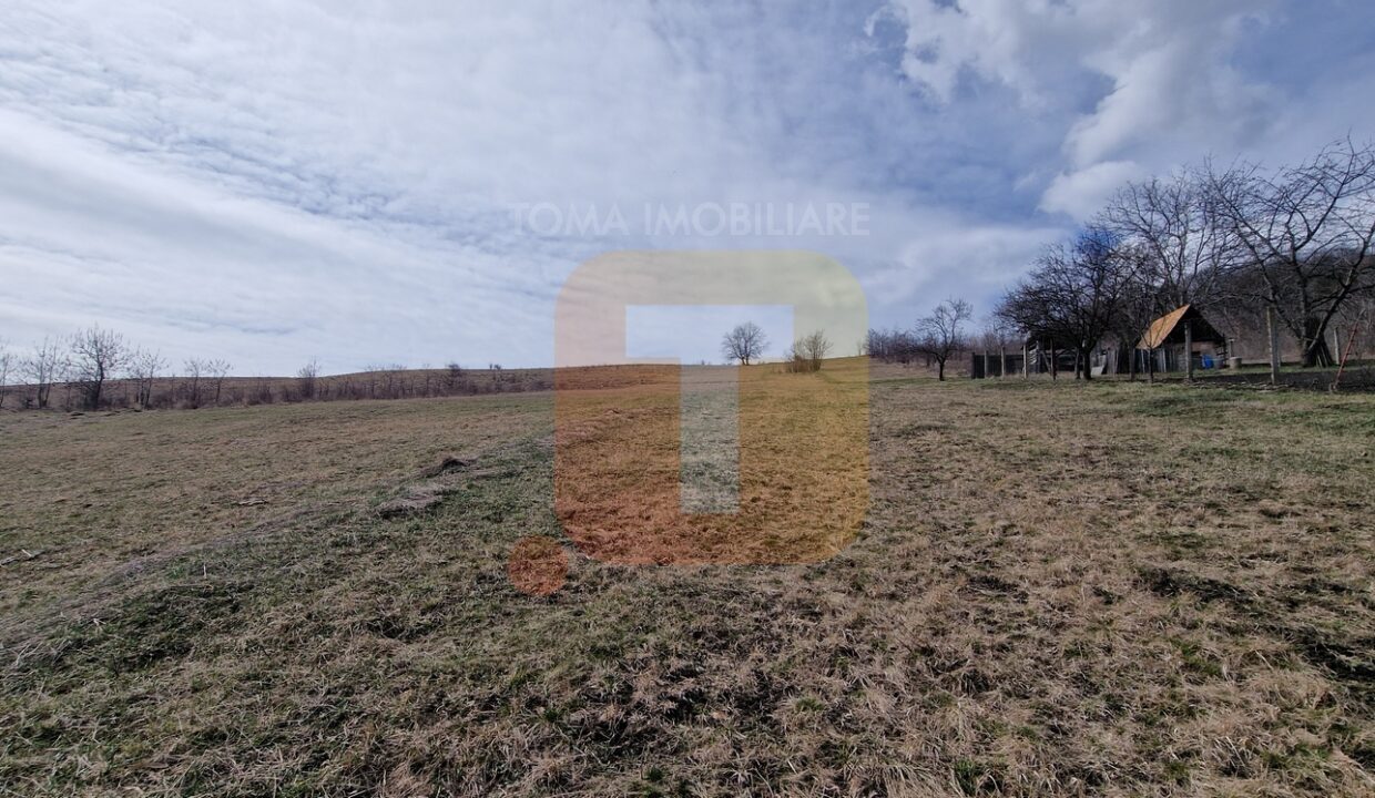 Teren intravilan de vânzare , 3600 mp – Gârcina, zona Balaur