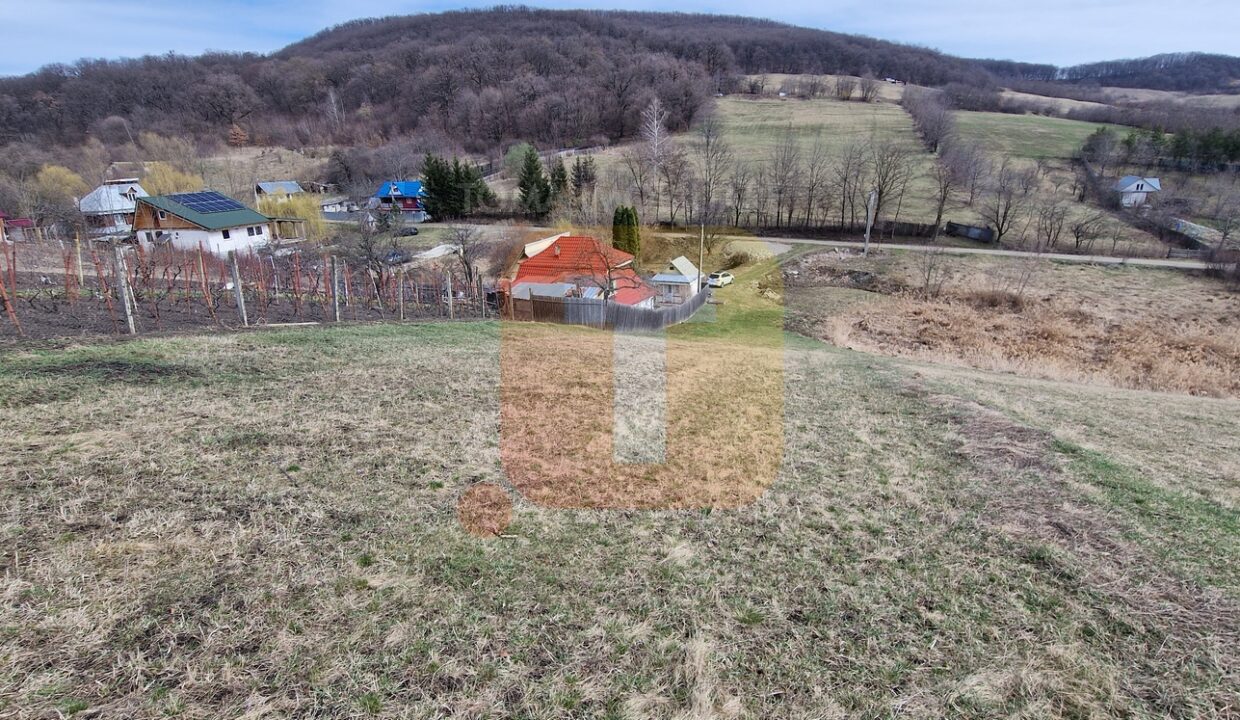 Teren intravilan de vânzare , 3600 mp – Gârcina, zona Balaur