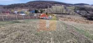 Teren intravilan de vânzare , 3600 mp – Gârcina, zona Balaur