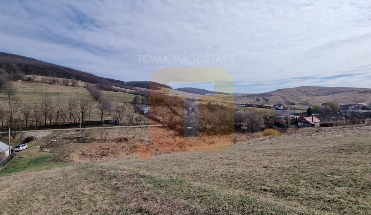 Teren intravilan de vânzare , 3600 mp – Gârcina, zona Balaur