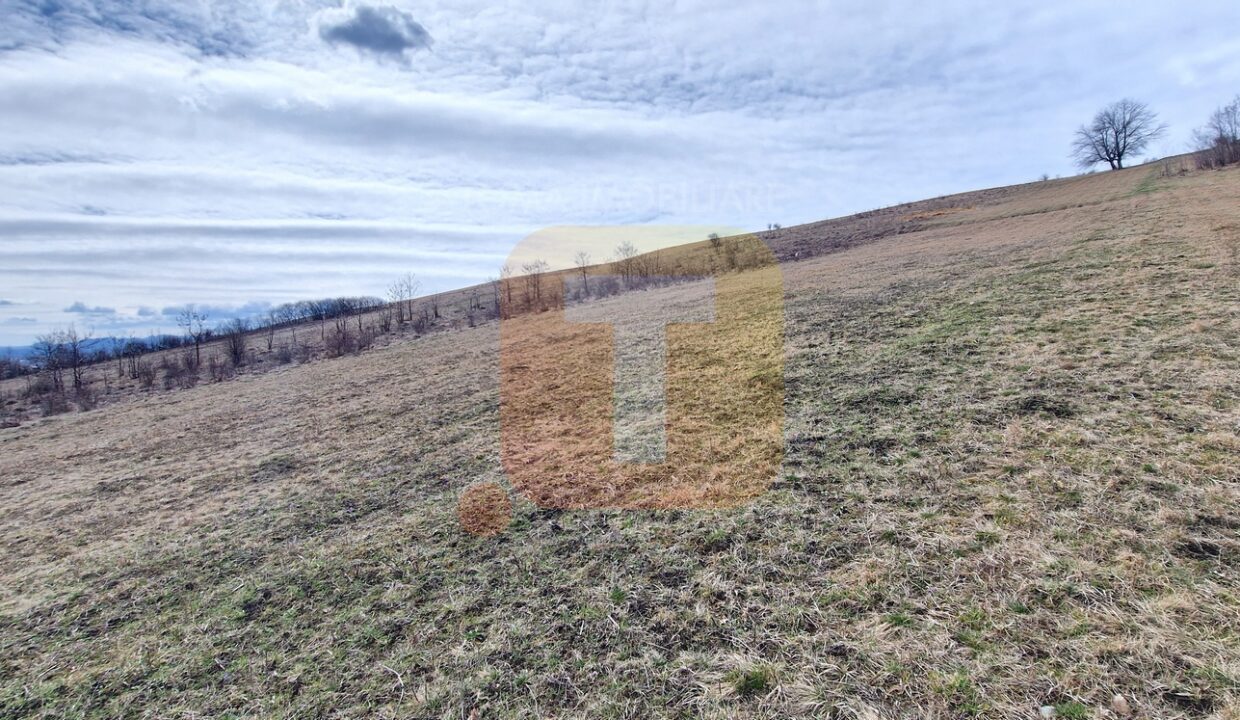 Teren intravilan de vânzare , 3600 mp – Gârcina, zona Balaur