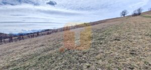 Teren intravilan de vânzare , 3600 mp – Gârcina, zona Balaur