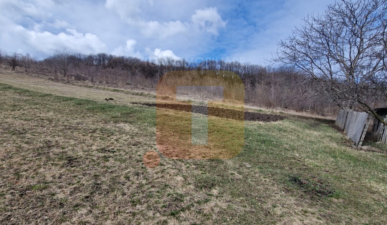 Teren intravilan de vânzare , 3600 mp – Gârcina, zona Balaur