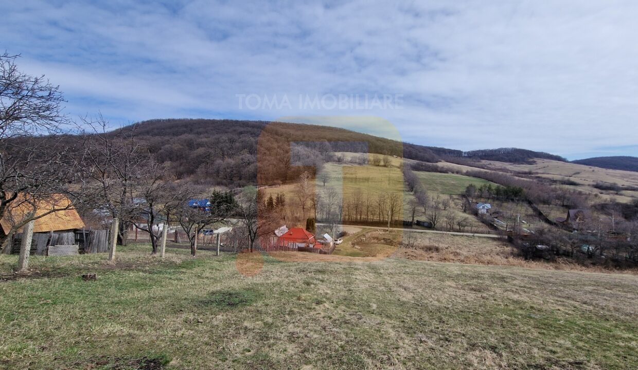 Teren intravilan de vânzare , 3600 mp – Gârcina, zona Balaur