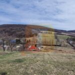 Teren intravilan de vânzare , 3600 mp – Gârcina, zona Balaur