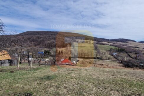 Teren intravilan de vânzare , 3600 mp – Gârcina, zona Balaur