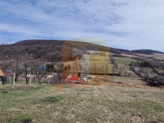 Teren intravilan de vânzare , 3600 mp – Gârcina, zona Balaur