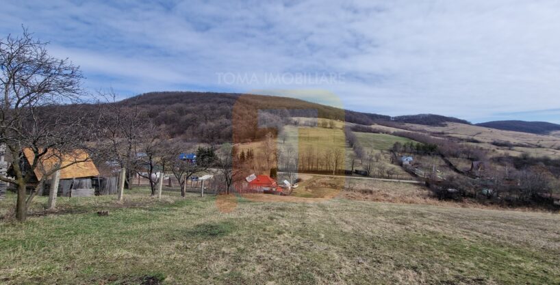 Teren intravilan de vânzare , 3600 mp – Gârcina, zona Balaur