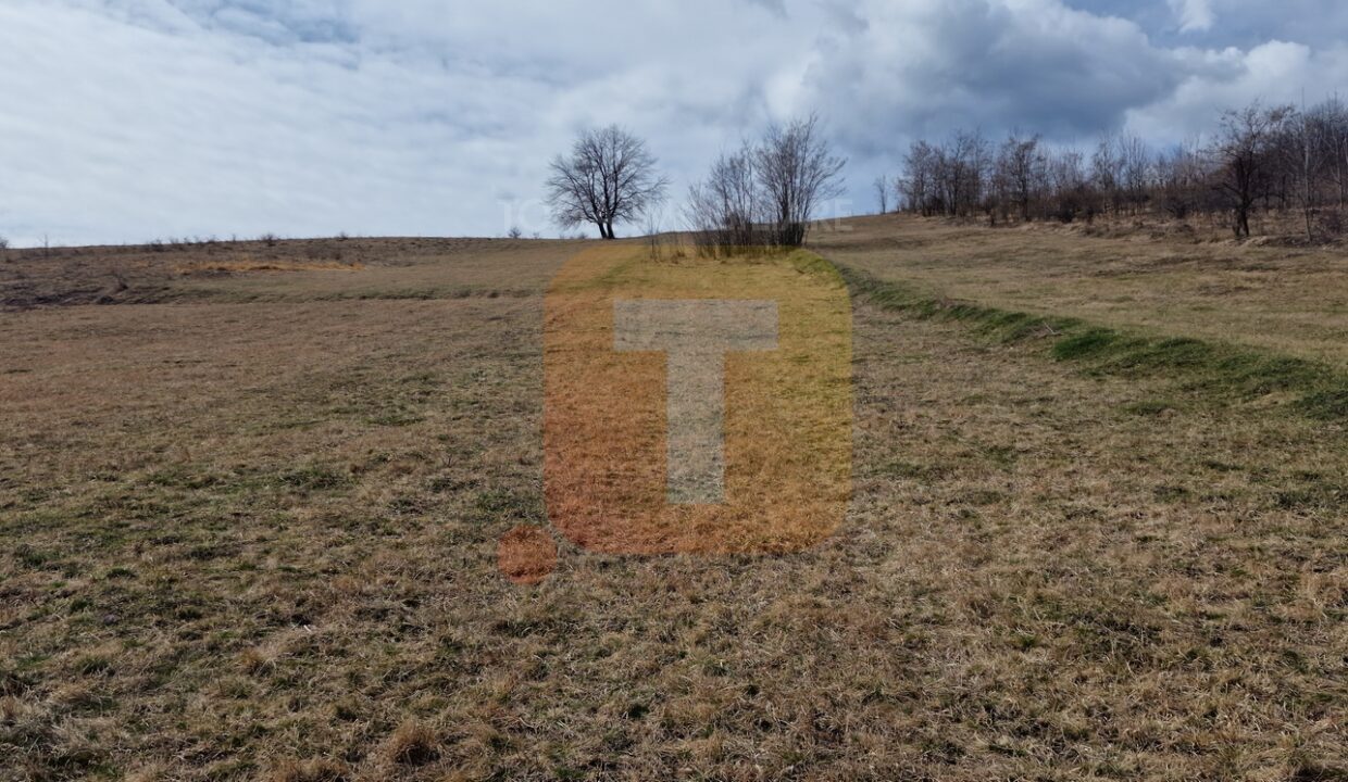 Teren intravilan de vânzare , 3600 mp – Gârcina, zona Balaur