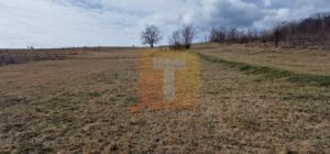 Teren intravilan de vânzare , 3600 mp – Gârcina, zona Balaur