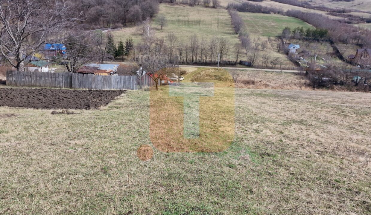 Teren intravilan de vânzare , 3600 mp – Gârcina, zona Balaur