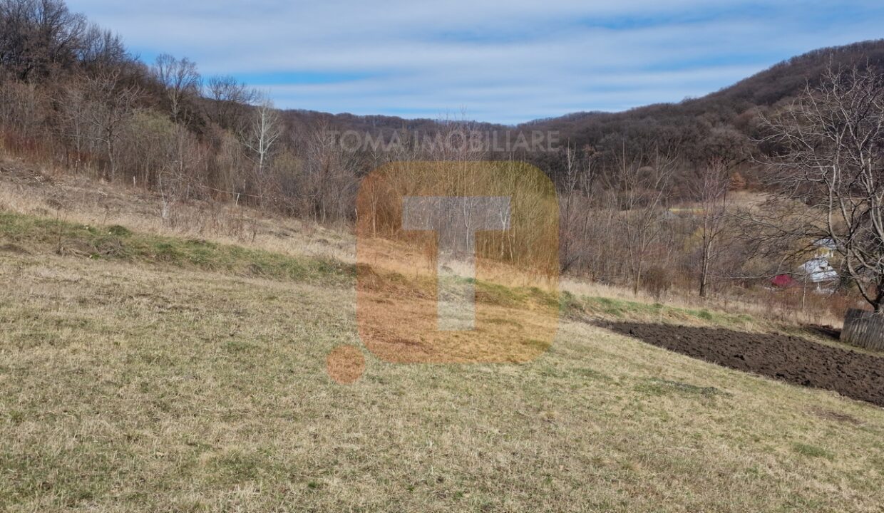 Teren intravilan de vânzare , 3600 mp – Gârcina, zona Balaur