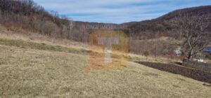 Teren intravilan de vânzare , 3600 mp – Gârcina, zona Balaur