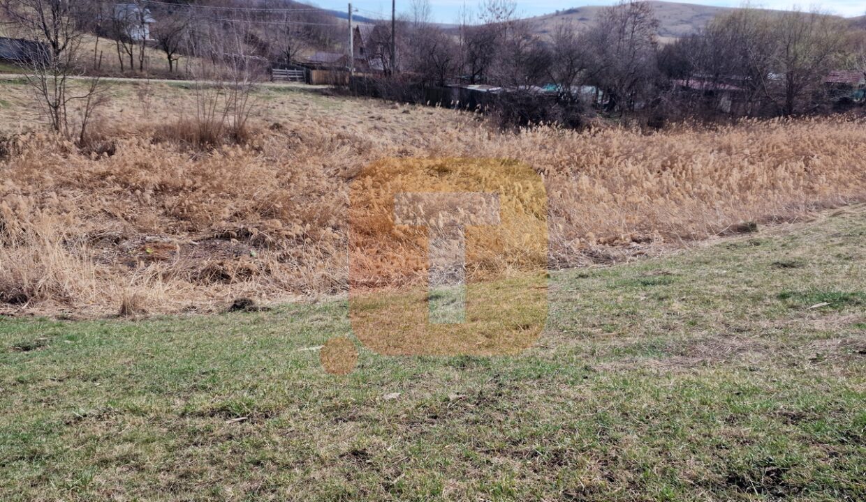 Teren intravilan de vânzare , 3600 mp – Gârcina, zona Balaur
