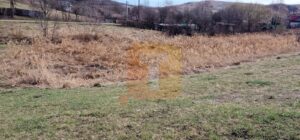 Teren intravilan de vânzare , 3600 mp – Gârcina, zona Balaur