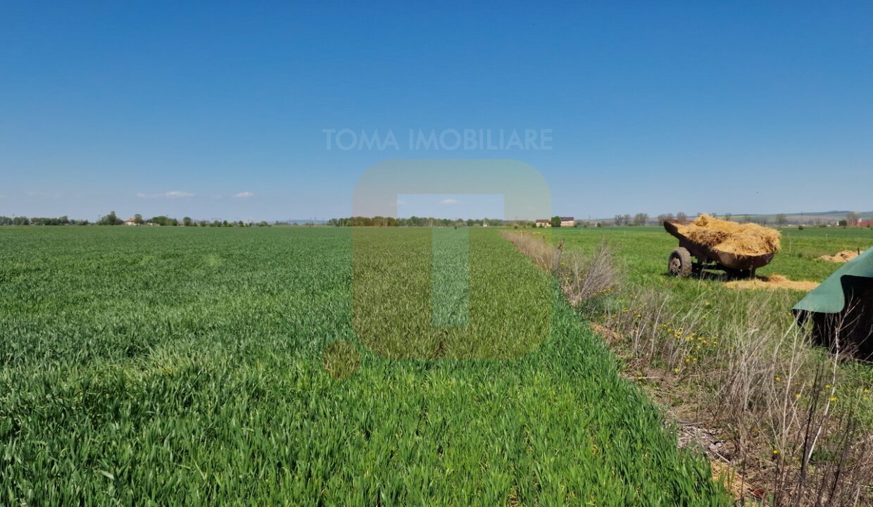 Teren intravilan de 18.700 mp – Comuna Timișești, județul Neamț